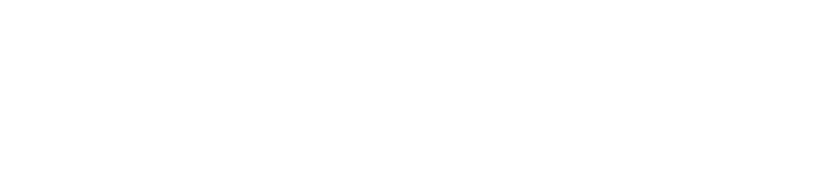 A Third of Us logo